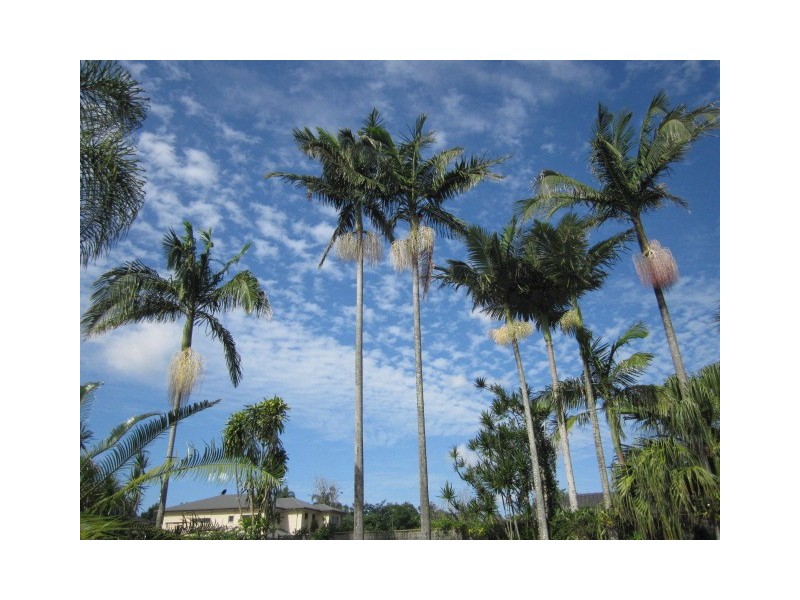 189 Station Road, Sunnybank QLD 4109