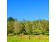 Biddaddaba QLD 4275
