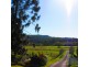 Biddaddaba QLD 4275