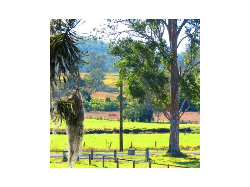 Biddaddaba QLD 4275