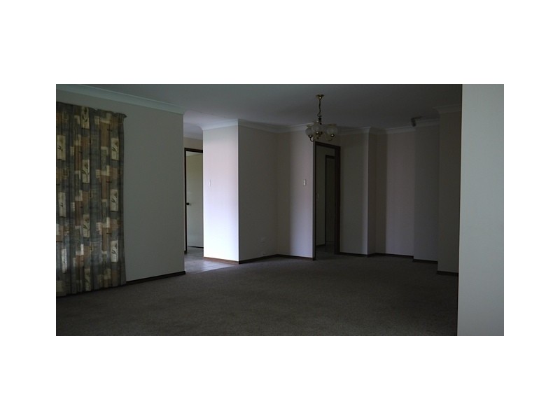 5 Bijuga St, Algester QLD 4115