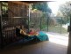 1A Auburn St, Edens Landing QLD 4207