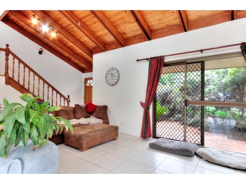 55 CALOOLA DRIVE, Springwood QLD 4127