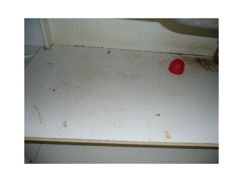 19 Willand Drive, Beenleigh QLD 4207