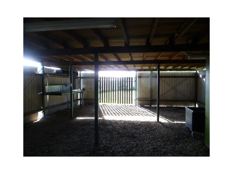 11 Japonica St, Eagleby QLD 4207