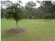 226 WEST MOUNT COTTON RD, Cornubia QLD 4130