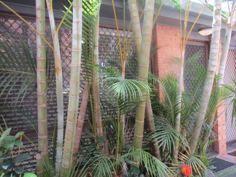 2/92 Boundary Street, Beenleigh QLD 4207