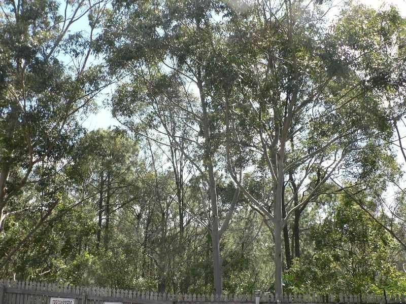 Beenleigh QLD 4207