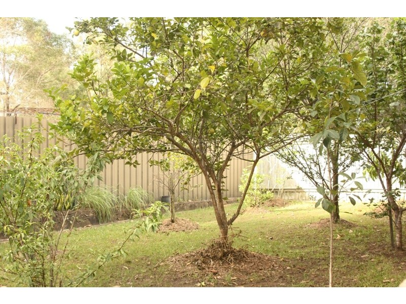 53 Burow Road, Waterford West QLD 4133