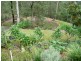 124 Naylor Drive, Tamborine QLD 4270