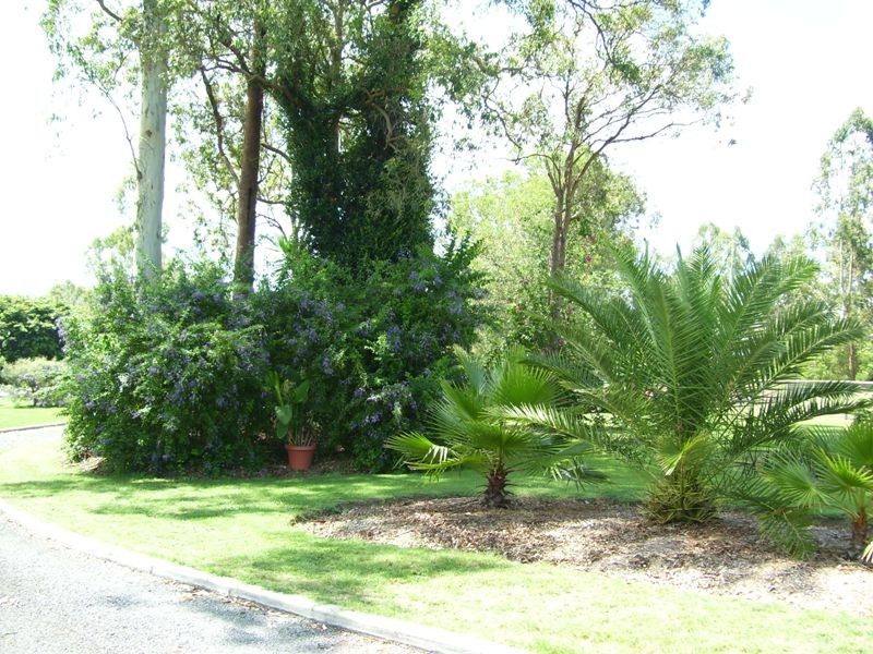 82 Pepperina Drive, Stockleigh QLD 4280