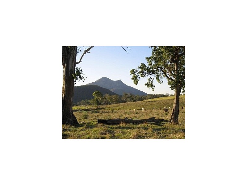 267 Mount Barney Road, Barney View QLD 4287