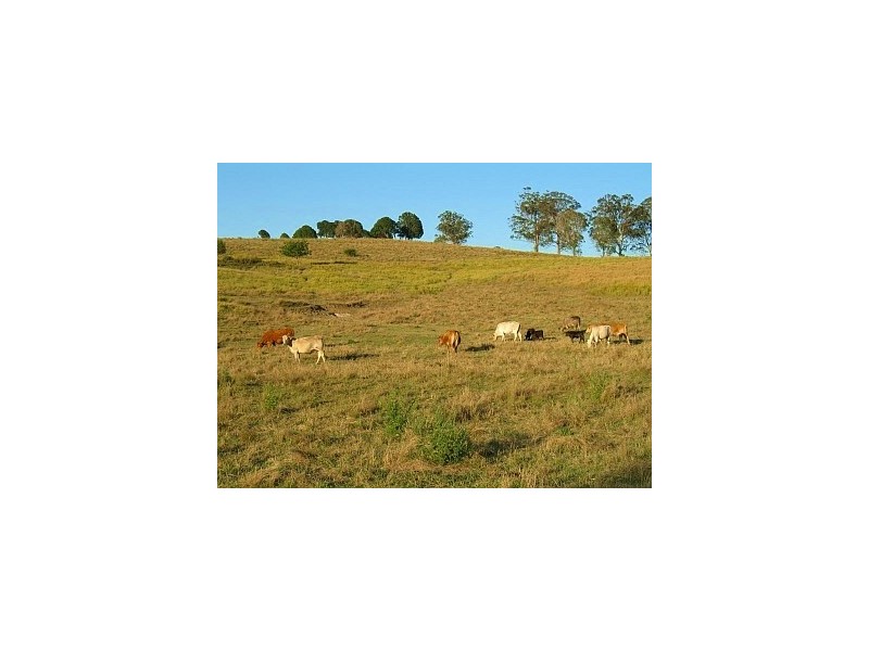 267 Mount Barney Road, Barney View QLD 4287