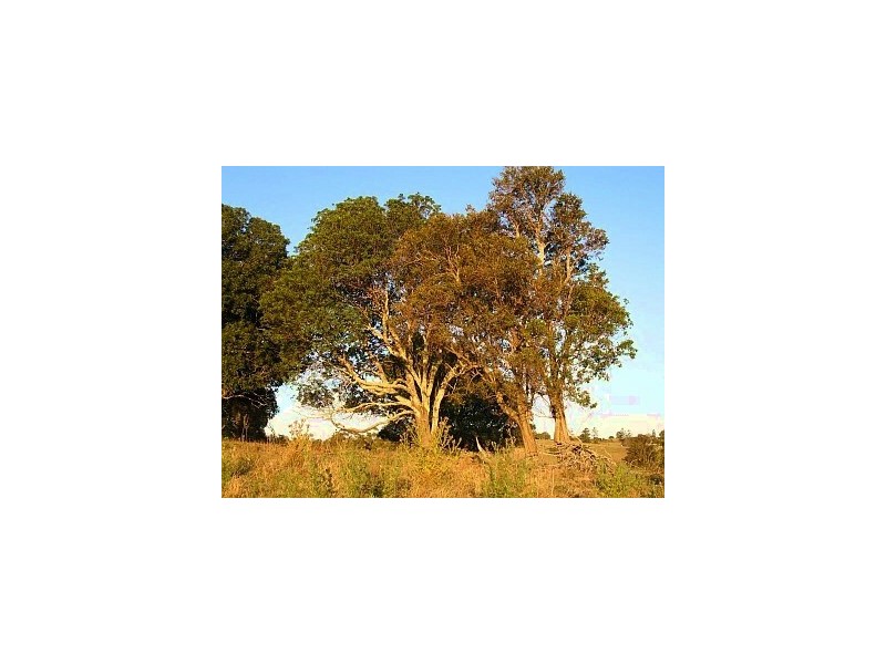 267 Mount Barney Road, Barney View QLD 4287