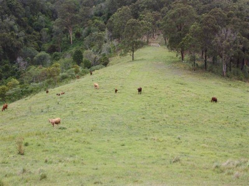 0 Jourdana Drive, Cedar Creek QLD 4207