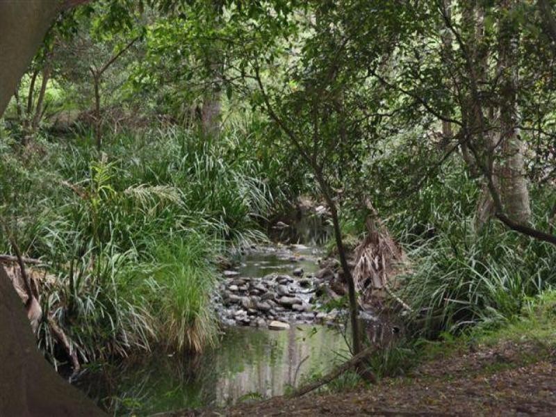 0 Jourdana Drive, Cedar Creek QLD 4207