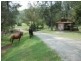 520 Cedar Creek Road, Cedar Creek QLD 4207
