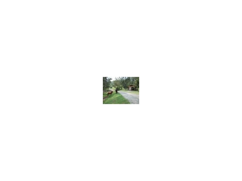 520 Cedar Creek Road, Cedar Creek QLD 4207