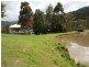 520 Cedar Creek Road, Cedar Creek QLD 4207