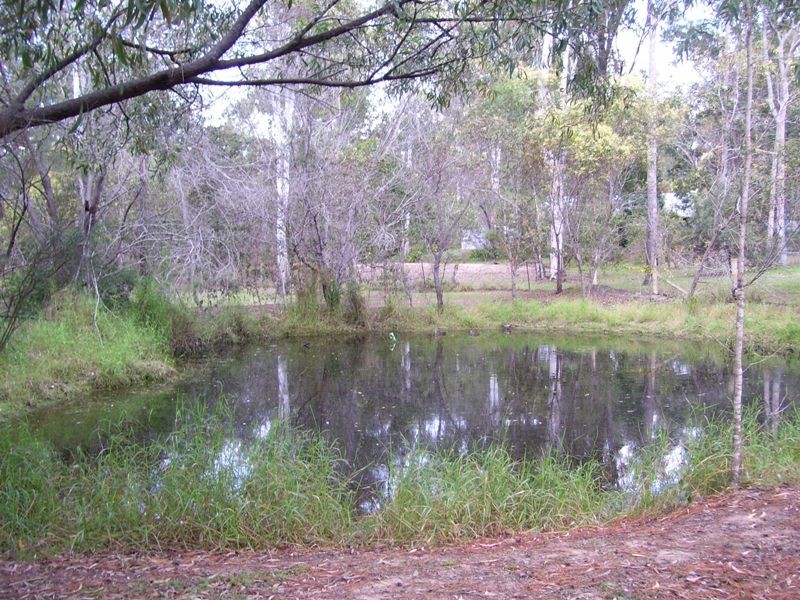 274 Wynne Road, Jimboomba QLD 4280