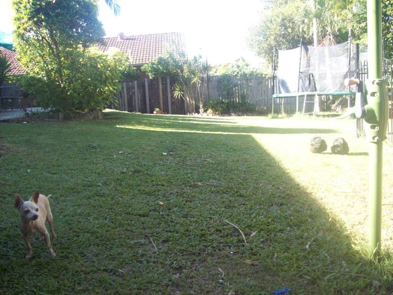 23 Harding Blvd, Mount Warren Park QLD 4207