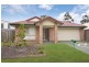 71 Woodlands Blvd, Waterford QLD 4133