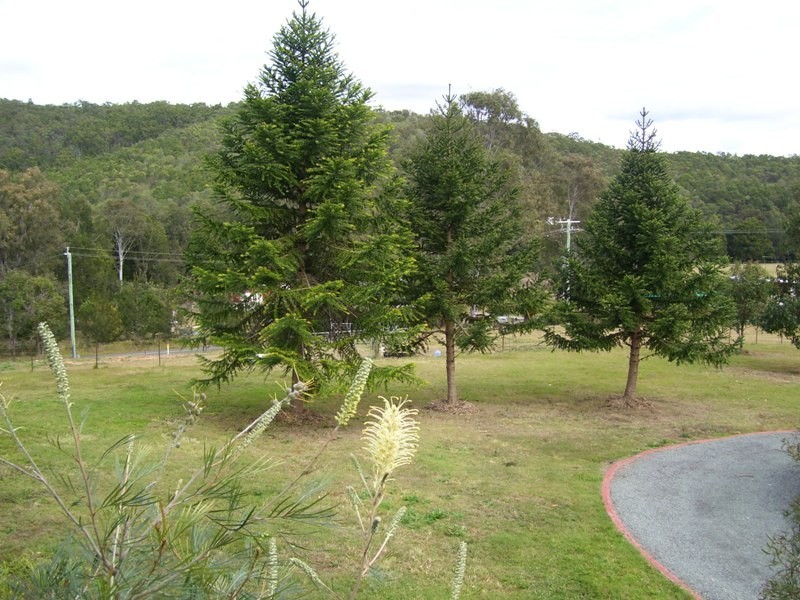 Cedar Creek QLD 4207