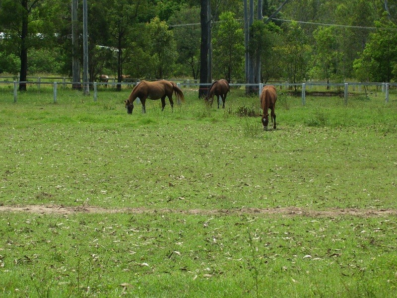 Logan Village QLD 4207