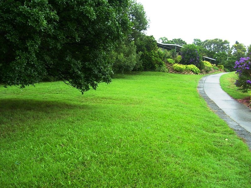Luscombe QLD 4207
