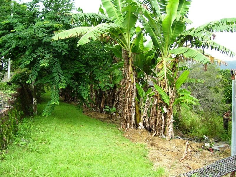Luscombe QLD 4207