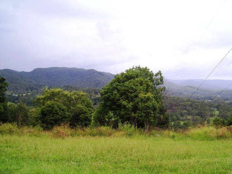 Luscombe QLD 4207
