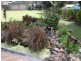 Tanah Merah QLD 4128