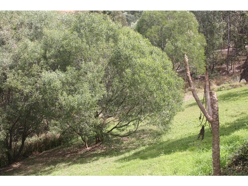 Bahrs Scrub QLD 4207