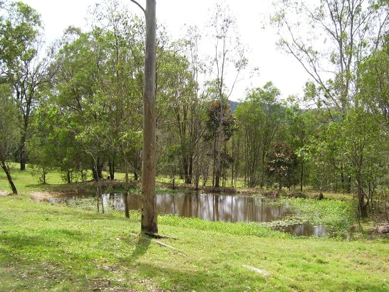 Cedar Creek QLD 4207