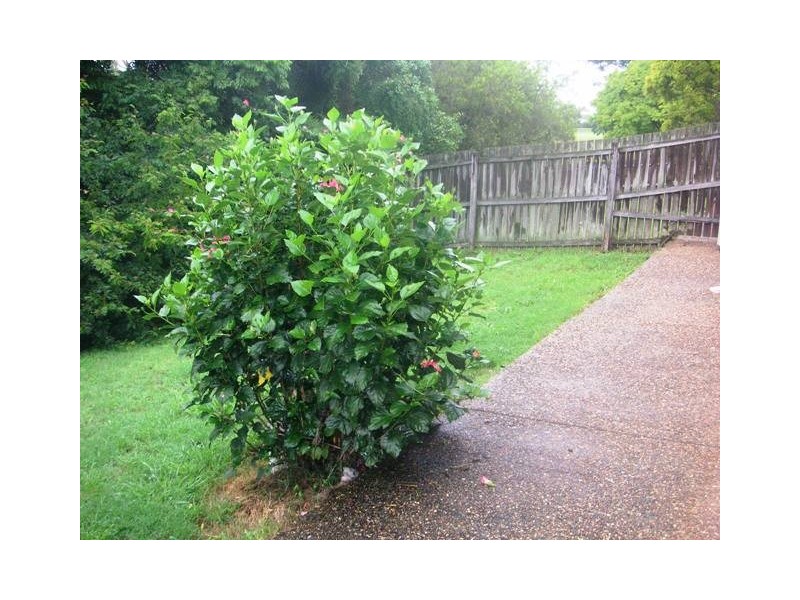 18/5 Delanty Court, Edens Landing QLD 4207