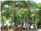 Edens Landing QLD 4207