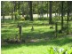 Tamborine QLD 4270