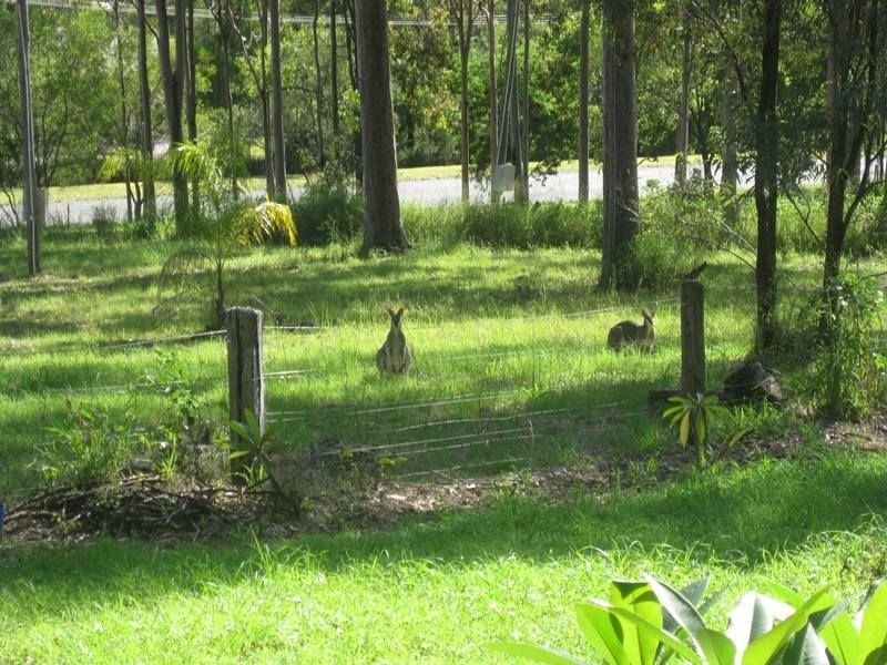 Tamborine QLD 4270