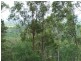 Tamborine QLD 4270