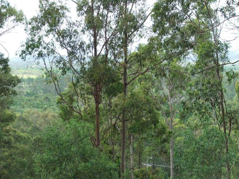 Tamborine QLD 4270