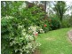 Tamborine QLD 4270
