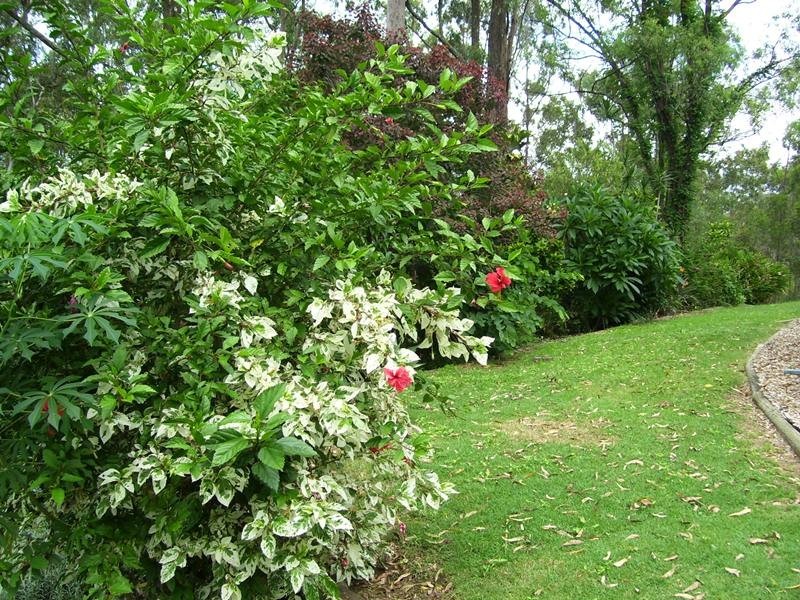 Tamborine QLD 4270