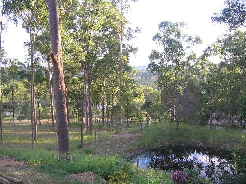 Tamborine QLD 4270