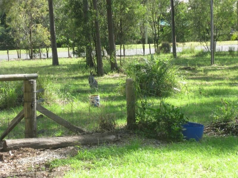 Tamborine QLD 4270