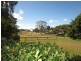 27 Paddington Lane, Eagleby QLD 4207