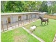 Carbrook QLD 4130