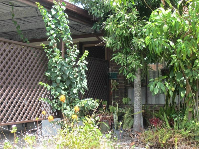 13/24-28 Albert Street, Eagleby QLD 4207