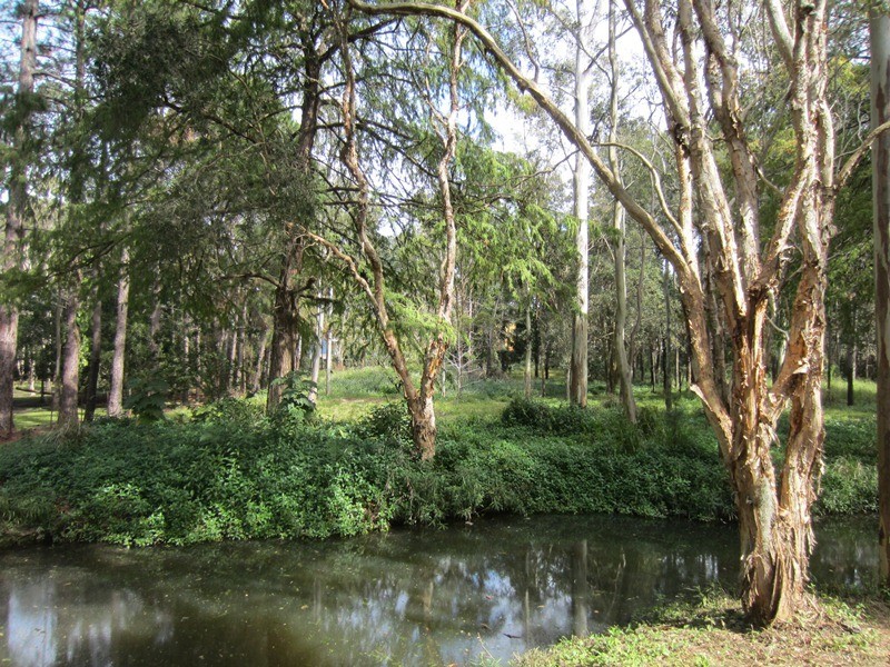 54 Atlantic Dr, Loganholme QLD 4129