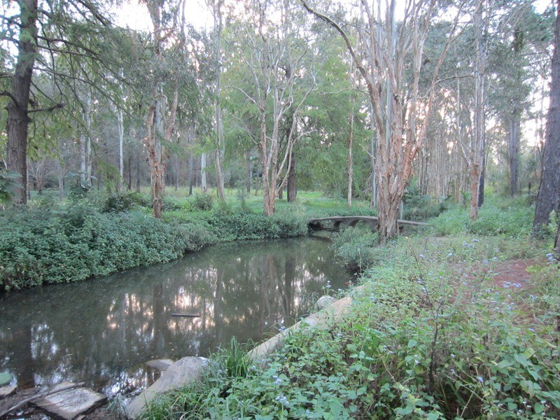 54 Atlantic Dr, Loganholme QLD 4129