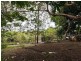 31 Nerang St, Waterford QLD 4133